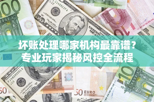 武汉坏账处理哪家机构最靠谱？专业玩家揭秘风控全流程