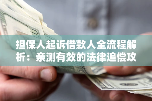 武汉担保人起诉借款人全流程解析：亲测有效的法律追偿攻略