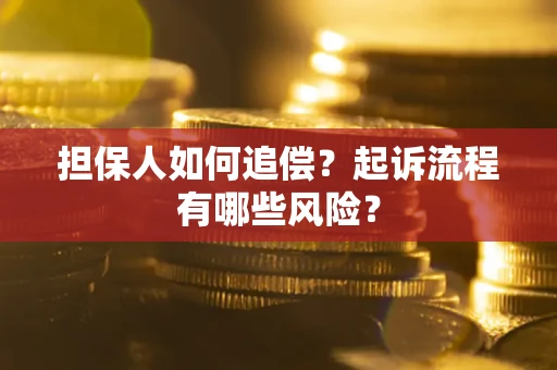 武汉担保人如何追偿？起诉流程有哪些风险？