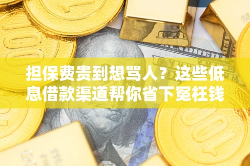 武汉担保费贵到想骂人？这些低息借款渠道帮你省下冤枉钱
