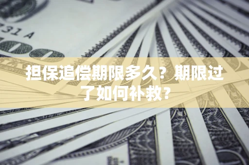 武汉担保追偿期限多久？期限过了如何补救？