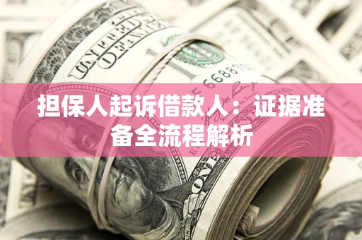 武汉担保人起诉借款人：证据准备全流程解析