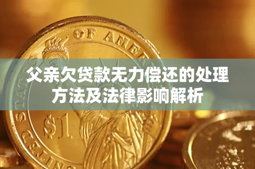 武汉父亲欠贷款无力偿还的处理方法及法律影响解析