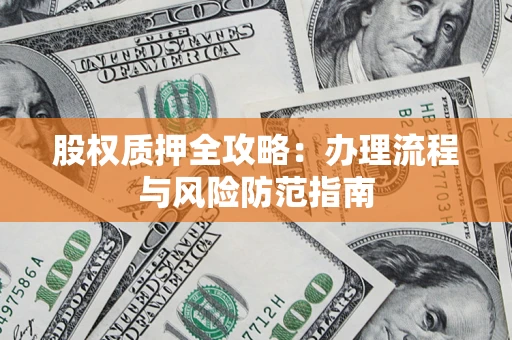武汉股权质押全攻略：办理流程与风险防范指南